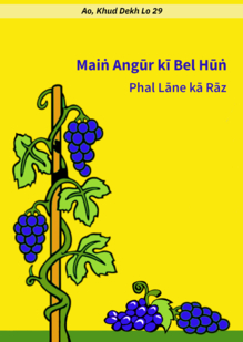 I am the Vine. The Secret of Bearing Fruit