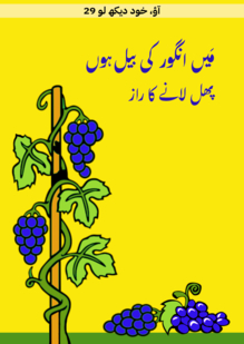 مَیں انگور کی بول ہوں۔ پھل لانے کا راز